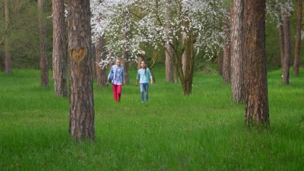 Two Appealing Little Teen Girlfriend Walk Park Teenage Female Friends — Stock Video