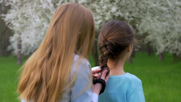 ティーンエイ ジャーの女の子は 彼女の髪とお下げのガール フレンドを作る ライフ スタイルの友好関係 — ストック動画