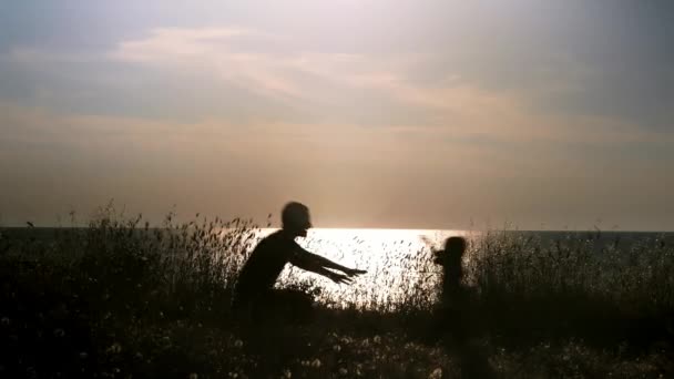 Silhouette Man Little Boy Run Each Other Dad Throws Boy — 图库视频影像