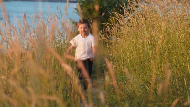 Pequeno Menino Feliz Correndo Longo Caminho Através Campo Grama Alta — Vídeo de Stock