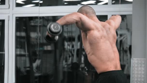 魅力的な強い陸上競技の男性肩の筋肉を裸の胴を汲み上げる ボディービルダーはジムで筋肉ダンベルをポンピング演習を行う コンセプトワークアウトフィットネス — ストック動画