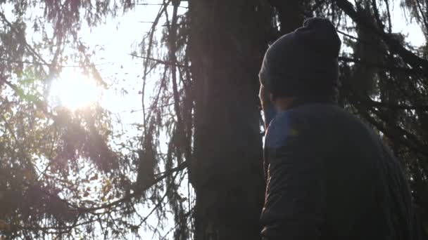 Silhouette Homme Bonnet Hiver Regardant Soleil Debout Dans Forêt Automne — Video