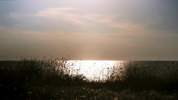 Silhouet Gelukkig Kind Loopt Het Gras Buurt Van Zee Bij — Stockvideo