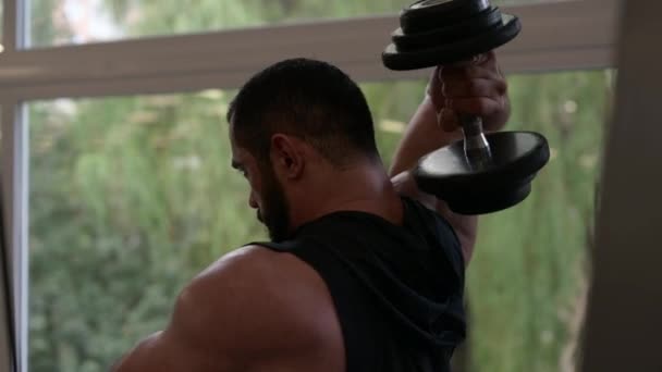 Un atleta hombre fuerte con barba levantando pesadas mancuernas detrás de la cabeza durante el entrenamiento muscular tríceps en el gimnasio con ventana y árboles verdes detrás — Vídeo de stock