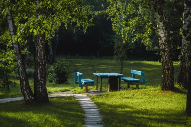 Açık rekreasyon için bir masa ve banklar ile yerleştirin. Parkta piknik.