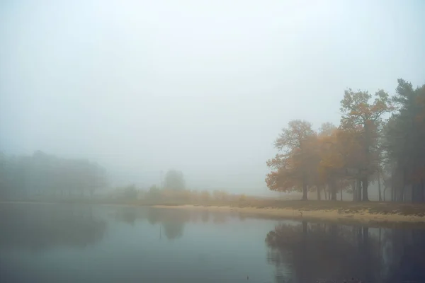 Trees Shore Lake Autumn Nature Toning Photos — Stock Photo, Image