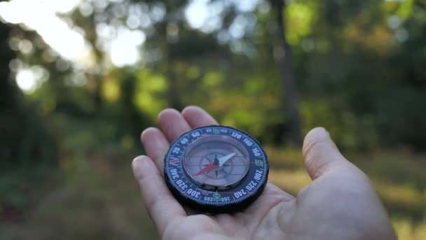 Manos delanteras hembra sosteniendo una brújula y buscando dirección. Orientación en el bosque 4k Primer plano en movimiento 4k — Vídeo de stock