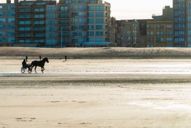 Sahilde bir yarış atı sonbahar bazı binalar içinde belgili tanımlık geçmiş eğitim