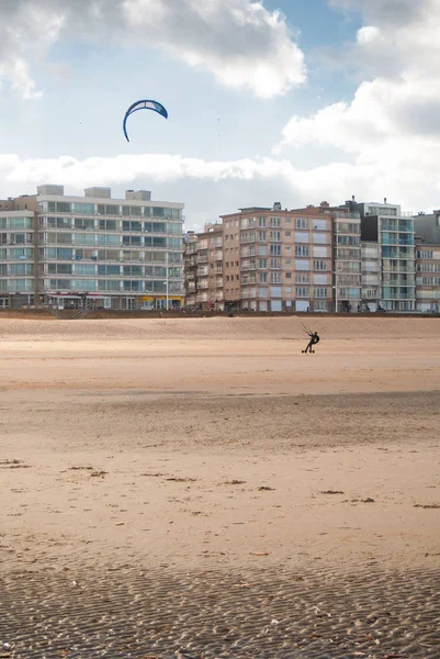 Ιππασία Μια Αμμώδη Παραλία Στην Ακτή Βέλγιο Στο Φθινόπωρο Συγκρότημα — Φωτογραφία Αρχείου