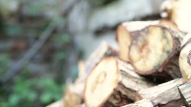 Nahaufnahme Eines Holzstapels Der Ungleichmäßig Gegen Eine Wand Gedrückt Wird — Stockvideo