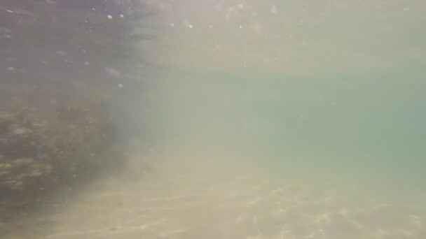 Undervattensvy Vågor Nära Sand Med Solen Speglar Botten Och Tång — Stockvideo