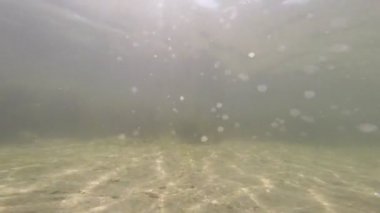dalgaların üstünde belgili tanımlık dip ve deniz yosunu yansıtan ve sudan gelen güneş kumla yakınındaki plaj görmek için sualtı görüntüleme