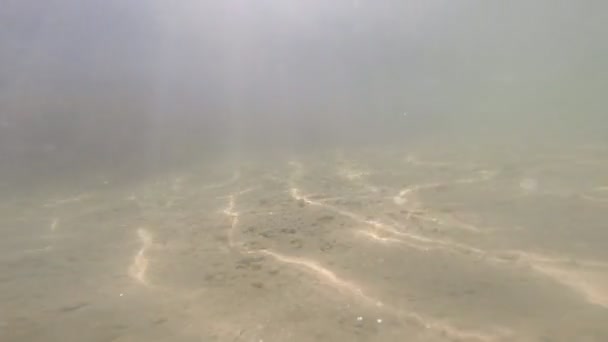 Vista Subaquática Ondas Perto Areia Com Sol Refletindo Fundo — Vídeo de Stock