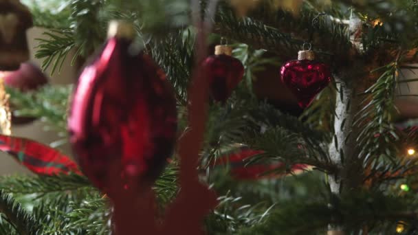 Красное Рождественское Украшение Елке Сменным Освещением — стоковое видео