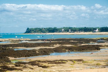 le petit vieil beach üzerinde göster