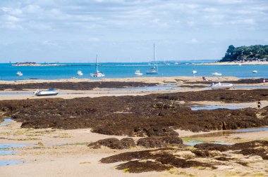le petit vieil beach üzerinde göster