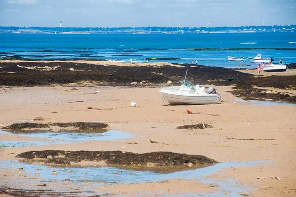 Visa på stranden i le petit vieil — Stockfoto