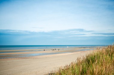 sahilde insanlar ve atlar