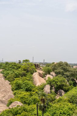 Arkasında kayalık bir yamaç olan yemyeşil bir orman. Gökyüzü açık ve güneş parlıyor.