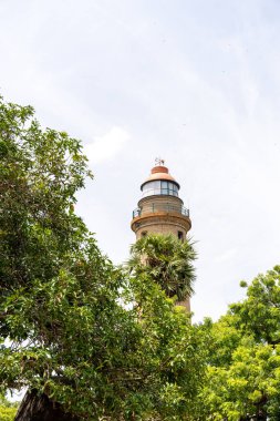 Uzakta bir deniz feneri görülür, önünde bir ağaç vardır. Gökyüzü açık ve güneş parlıyor.