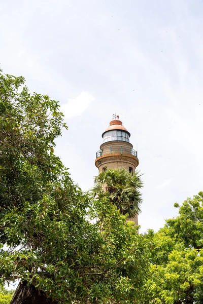 Uzakta bir deniz feneri görülür, önünde bir ağaç vardır. Gökyüzü açık ve güneş parlıyor.