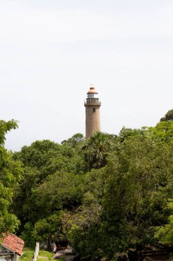 Uzakta, ön planda ağaçlar olan bir deniz feneri görülür. Sahne huzurlu ve sakin, deniz feneri ağaçların arkasında gururla duruyor.