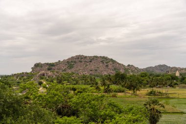 Arka planda bulutlu bir gökyüzü olan bir dağ sırası. Dağlar ağaçlar ve otlarla kaplıdır. Tamil Nadu.