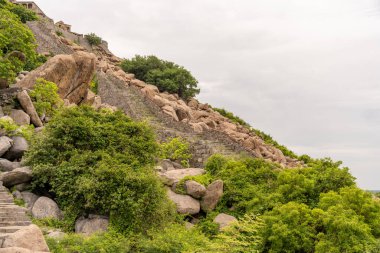 Bir sürü ağacı olan kayalık bir yamaç. Ağaçlar yeşil ve onlardan bir sürü var. Tamil Nadu.