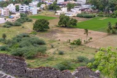 Duvarı ve ağacı olan bir yamaç. Yamaçta çimenler ve ağaçlar var. Tamil Nadu.