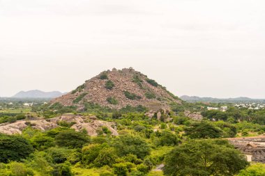 Bir dağ yemyeşil bir tarlanın arka planındadır. Dağ ağaçlarla kaplı ve çok uzundur. Tamil Nadu.