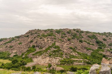 Önünde göl olan bir dağ. Dağ ağaçlar ve kayalarla kaplı. Göl yeşildir ve kayalarla çevrilidir. Tamil Nadu.
