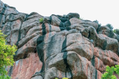 Üzerinde yeşil bir bitki büyüyen büyük bir kaya duvarı. Bitki kayadaki bir çatlaktan büyüyor ve sert çevreye rağmen gelişiyor. Tamil Nadu.