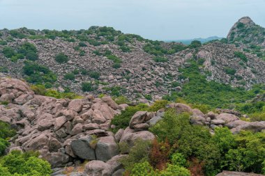 Birkaç ağacı olan kayalık bir yamaç. Ağaçlar yeşil ve tepenin her tarafına dağılmış. Tamil Nadu.