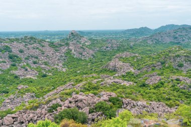 Bereketli yeşil ormanlı bir dağ sırası. Ağaçlar uzun ve yeşildir. Gökyüzü bulutlu. Tamil Nadu.