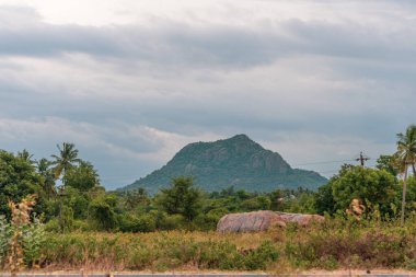 Bir dağ bir tarlanın arka planındadır. Gökyüzü bulutlu. Ağaçlar ön planda. Tamil Nadu.