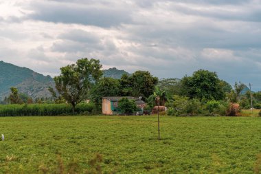 Ortasında ev olan bir tarla. Ev ağaçlarla çevrili. Gökyüzü bulutlu. Tamil Nadu.