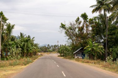 Sağ tarafında bir ev olan bir yol. Yolun her iki tarafında da ağaçlar var. Tamil Nadu.