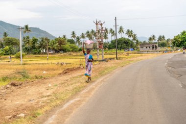 Bir kadın sepet taşıyarak yolda yürüyor. Yol asfaltlı ve arka planda palmiye ağaçları var. Tamil Nadu.