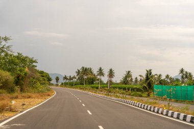 Arka planda palmiye ağaçları olan bir yol. Yol bomboş. Yolda hiç araba yok ki. Tamil Nadu.
