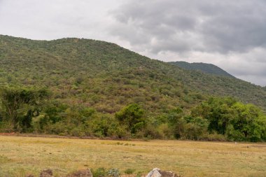 Bulutlu gökyüzü olan bir dağ sırası. Dağlar ağaçlarla çevrili. Gökyüzü bulutlu ve güneş görünmüyor. Tamil Nadu.