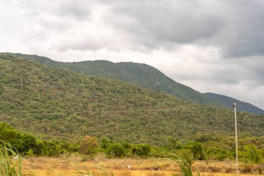 Uzun bir direk tarlanın ortasındadır. Direk beyazdır. Alan yeşildir. Tamil Nadu.