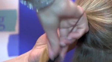 Keratin Saç Uzantıları. Sarışın. Kız