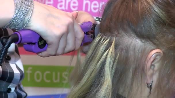halo hair extensions nz