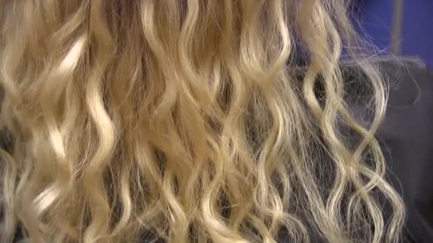 Hair Video Stock Videos Royalty Free Hair Video Footages