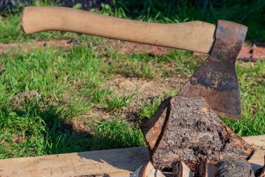 Baltayı bir günlüğüne sıkıştı