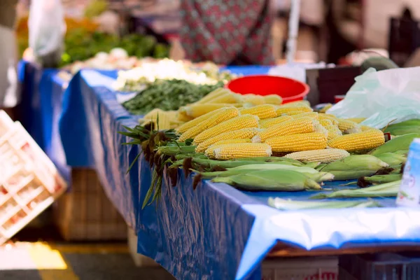 Maïs Tentoongesteld Boerenmarkt — Stockfoto