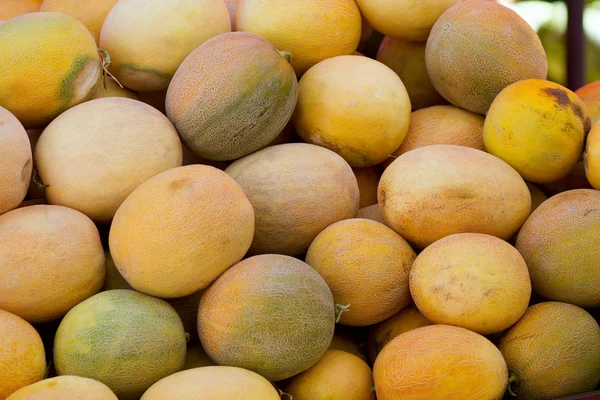 Melons Jaunes Sucrés Exposés Marché Fermier — Photo