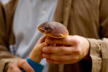 Close-up of father's and son's hands holding porcini boletus (cep)