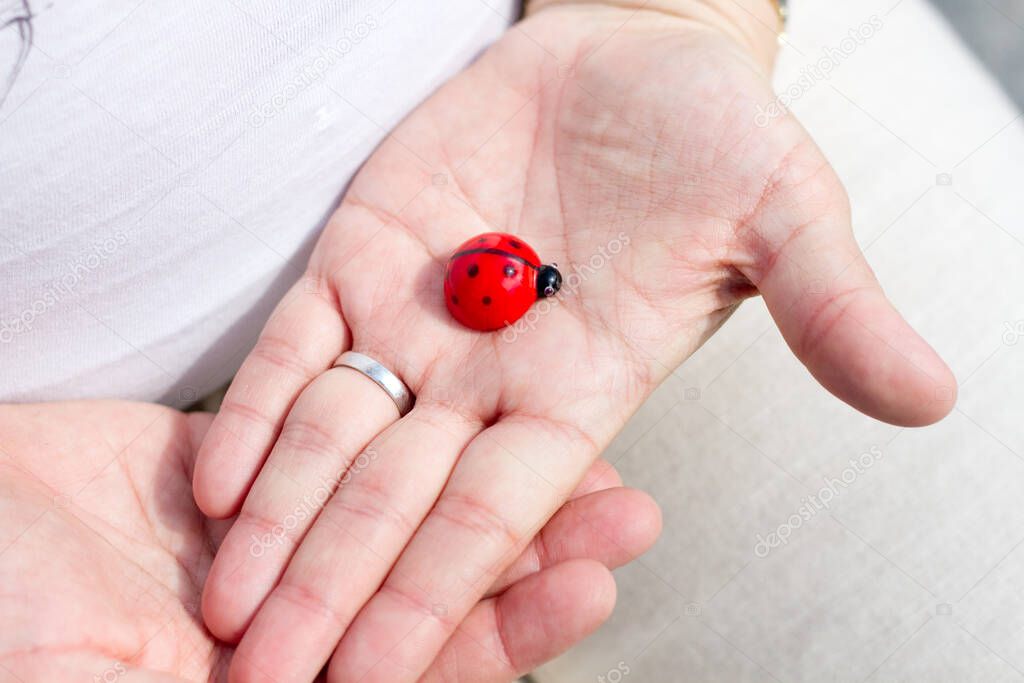 Toy wooden ladybug on women's hands
