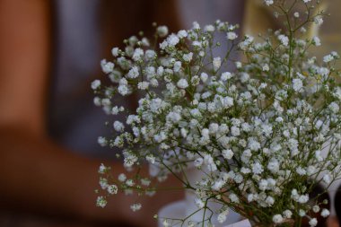 Gerçek doğal arka plan: Bebek nefesli çiçeğe yakın çekim. Boşluğu kopyala